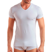 Мужская футболка EnricoCoveri ET1001